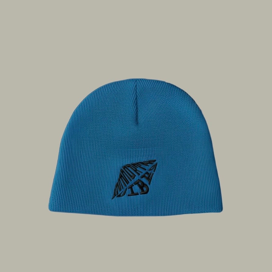 Warped Reality Beanies